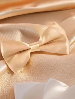 Discount OUKU Men's Bow Tie Modern Contemporary Office / Business Traditional / Classic Bow Solid / Plain Color Formal Evening Date Quinceañera & Sweet Sixteen Apricot