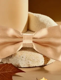 Discount OUKU Men's Bow Tie Modern Contemporary Office / Business Traditional / Classic Bow Solid / Plain Color Formal Evening Date Quinceañera & Sweet Sixteen Apricot